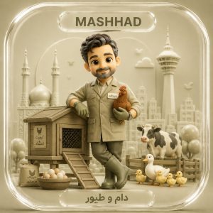 ارسال پیامک تبلیغاتی به دام و طیور مشهد